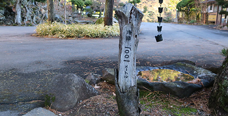 標高1,001mの標識