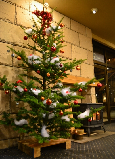 ■館内の情報■クリスマスツリーを設置しました！