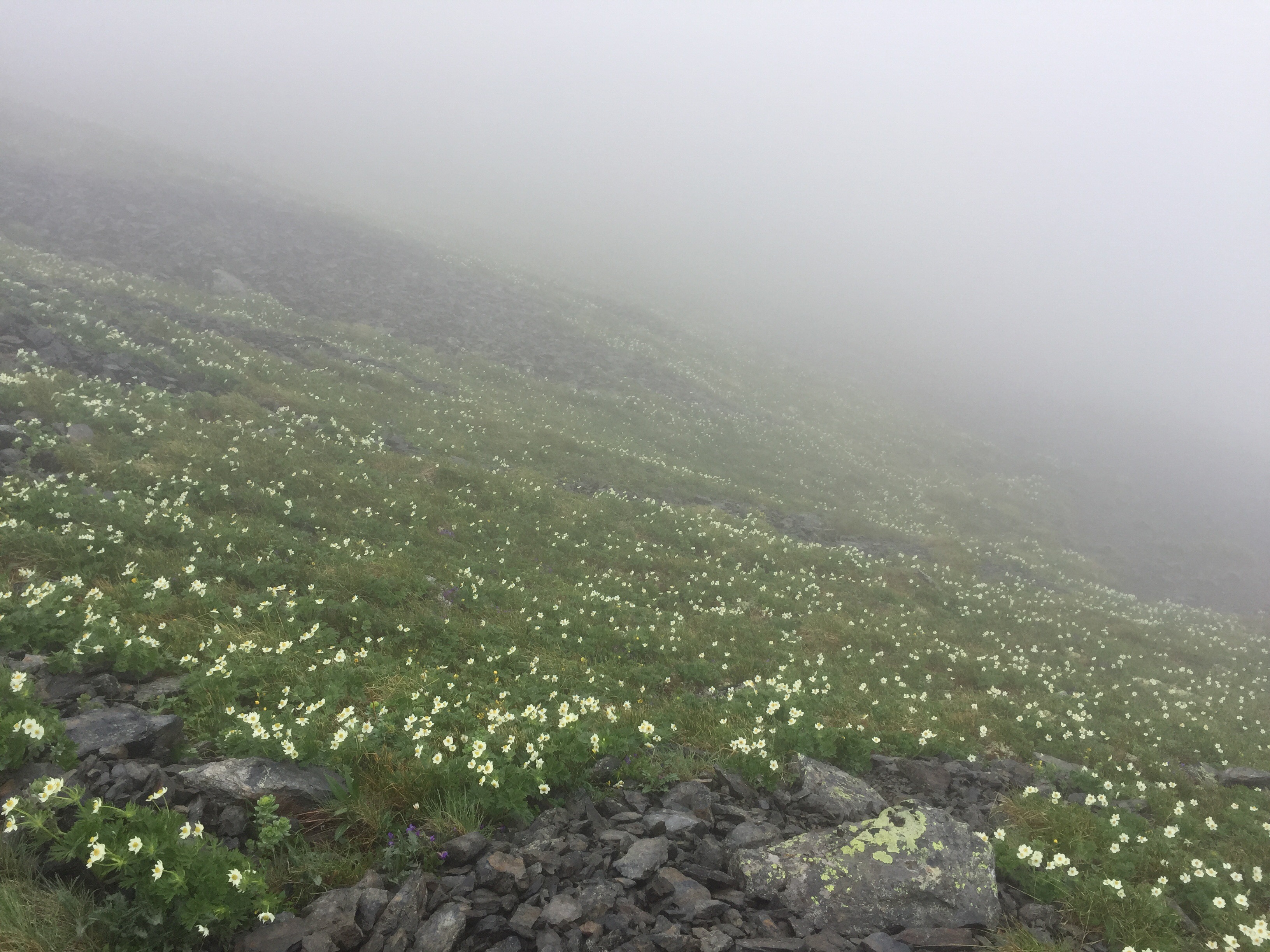 2017 百名山 北岳&間ノ岳