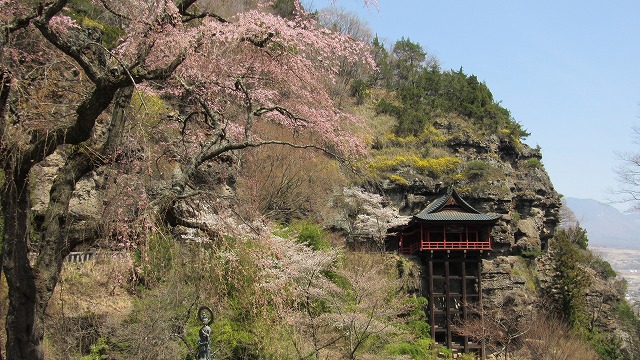 小諸市花情報