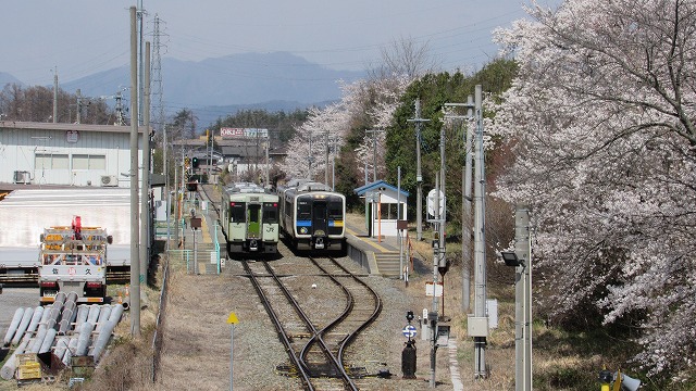 小諸市花情報４月８日