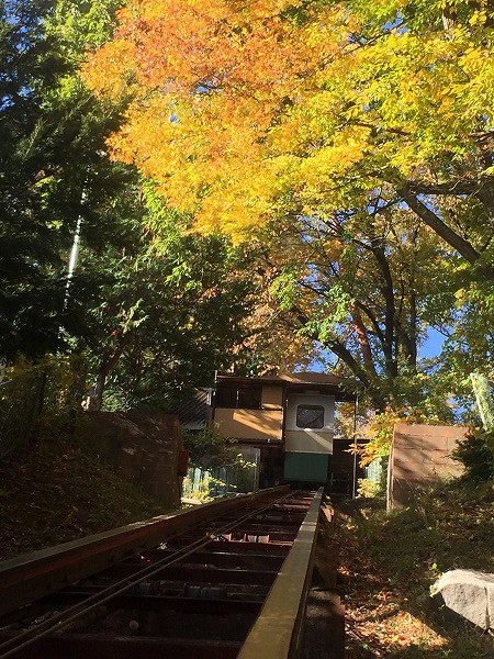 ■周辺の情報■雲の助周辺の紅葉