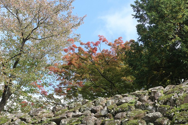 10月30日小諸市懐古園